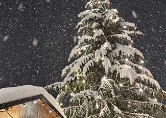 A majestic Christmas tree, covered in snow, stands in the view. Gentle snowflakes fall from the sky, adding a festive atmosphere to the scene.