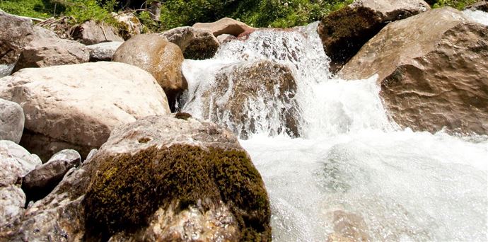 A clear creek flows over large stones. The water bubbles gently and surrounds green moss areas.