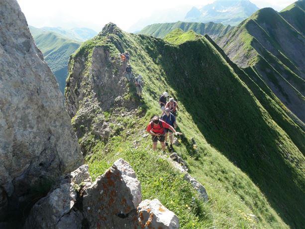 Een groep wandelaars beklimt een smalle bergkam in de Alpen. Het groene landschap en de ruige rotsen bieden een indrukwekkend decor.