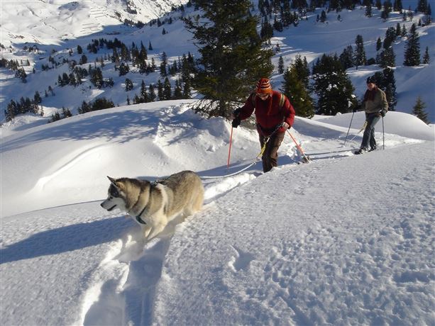 Twee personen wandelen door besneeuwde landschappen, vergezeld door een hond. De scène toont een winterse berglandschap met besneeuwde hellingen en bomen op de achtergrond.