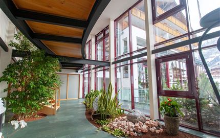 A modern interior with large windows and plenty of natural light. Green plants and decorative stones give the room a pleasant atmosphere.