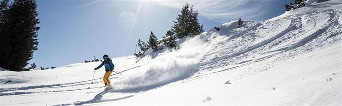 Ein Skifahrer fährt durch frischen Schnee in den Bergen. Die Sonne scheint und die Landschaft ist von Tannenbäumen umgeben.