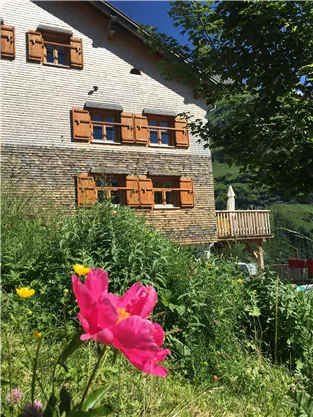 A charming house with wooden windows and a balcony. In the foreground, a pink flower is blooming surrounded by green grass.