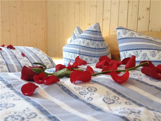 A cozy bedroom with checkered pillows and a blanket in blue and white. Rose petals are decoratively placed on the bed.