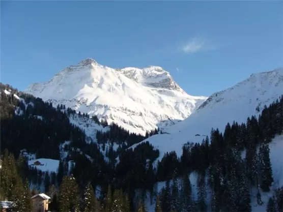 A snow-covered mountain with a clear blue sky in the background. In the foreground, the treetops and some buildings are visible.