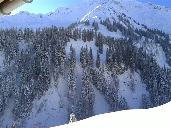 A snowy mountain landscape with dense coniferous trees. The mountains are clearly and sunnily visible in the background.