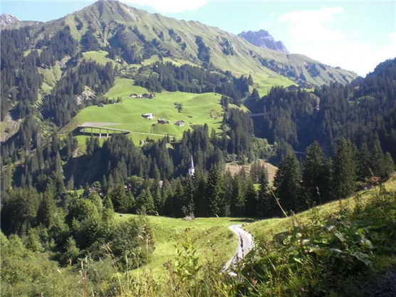 A picturesque mountain landscape with green meadows and forests. In the background, the mountains and a few huts are visible.