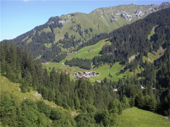A picturesque mountain landscape with green meadows and dense forests. In the background, snow-covered peaks and a small village are visible.