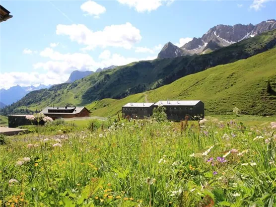 A picturesque mountain landscape with green meadows and colorful flowers. In the background, huts and majestic mountains can be seen under a clear blue sky.