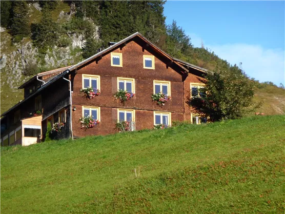A typical wooden house in the Alps with blooming windows. It sits on a green meadow, surrounded by a picturesque landscape.