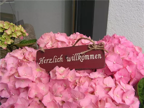 A sign with the inscription "Warm welcome" lies on a bed of pink hydrangea flowers. The colors are vibrant and friendly.