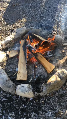 A campfire burns with blazing flames in a stone circle. Surrounded by small stones on the ground.