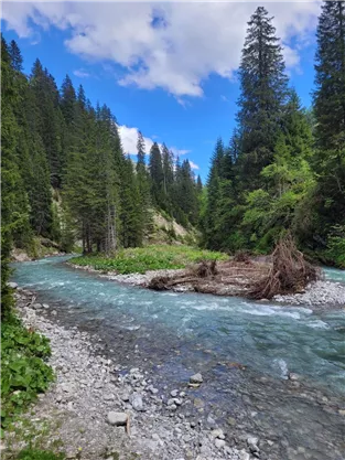 A clear river meanders through a forest with tall, green trees. The sky is blue and there are some clouds visible.