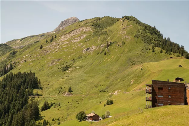 A picturesque mountain landscape with gentle green hills and wooded slopes. In the foreground stands a traditional wooden house, surrounded by idyllic nature.