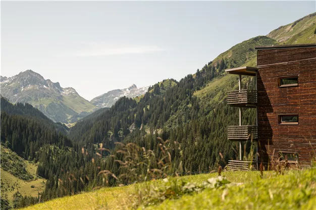 A modern house in the mountains, surrounded by green meadows and majestic peaks. In the background, tall pines and snow-covered mountains are visible.