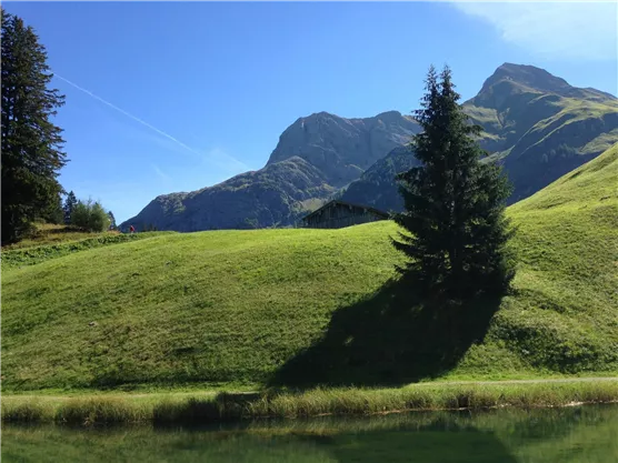 A green hilly landscape with high mountains in the background. A single tree stands on the hill, and the sky is clear and blue.