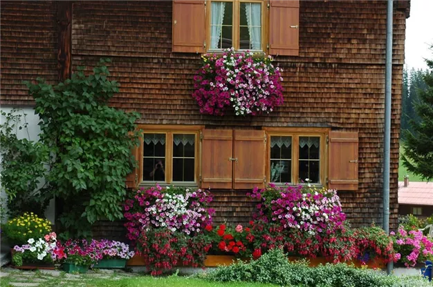 Eine gemütliche Holzhütte mit blühenden Fensterkästen und bunten Pflanzen davor. Die Fassade ist von Lichtern und Blumen geschmückt.