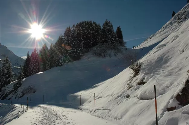 Eine schneebedeckte Landschaft mit schneebedeckten Bäumen und strahlendem Sonnenschein. Der Weg führt durch die malerische Winterlandschaft.