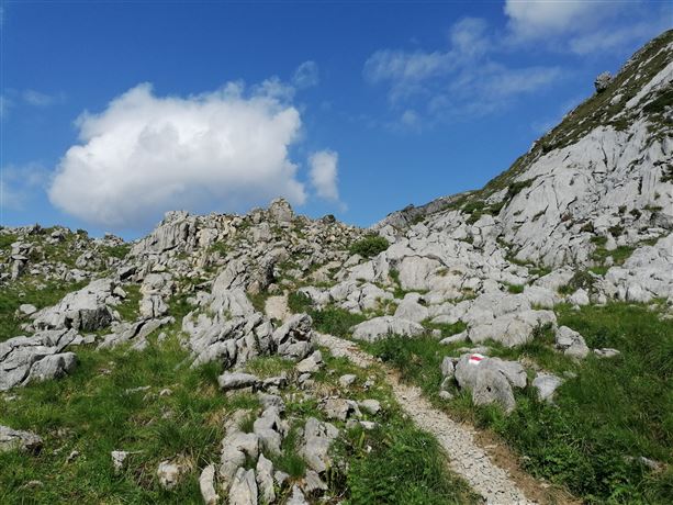 Weg zur Hochkünzelspitze